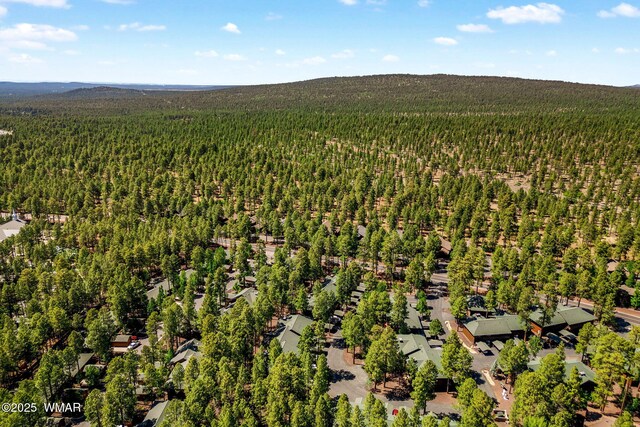 2522 Village Loop Unit 14, Pinetop, AZ 85935 - photo 31