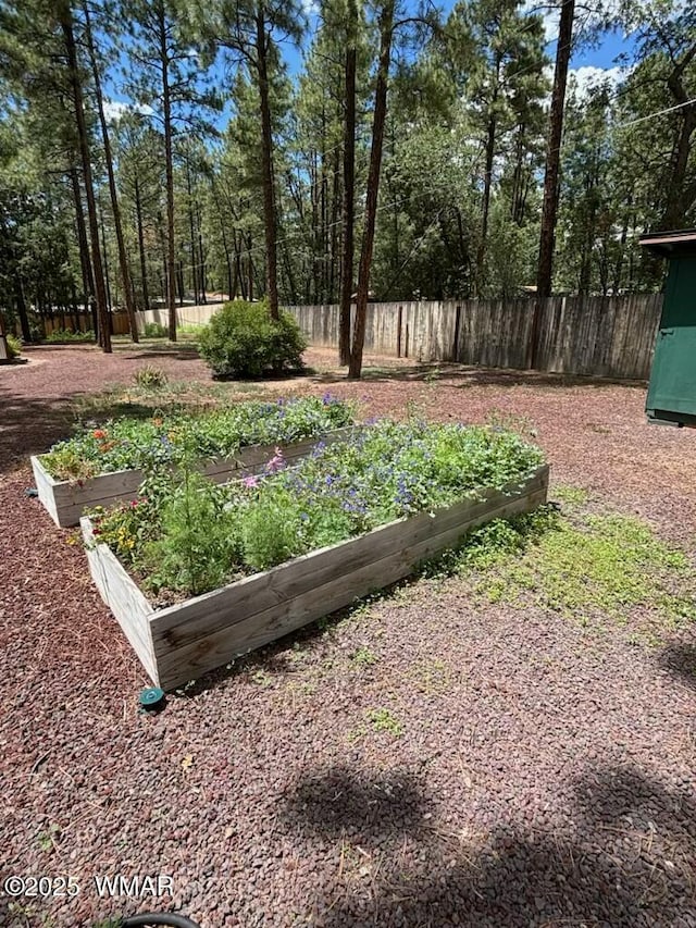 137 Bausman Ln, Lakeside, AZ 85929 - photo 26