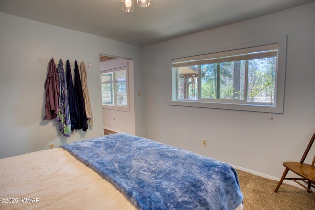 137 Bausman Ln, Lakeside, AZ 85929 - photo 9