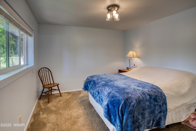 137 Bausman Ln, Lakeside, AZ 85929 - photo 8