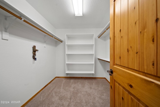 spacious closet with carpet flooring