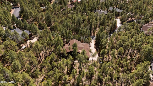 aerial view with a forest view