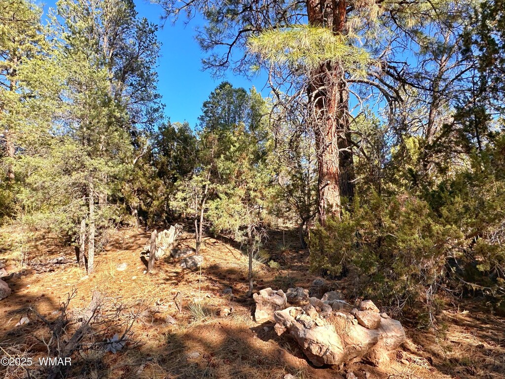 3377 Mogollon Dr, Overgaard, AZ 85933 - photo 1
