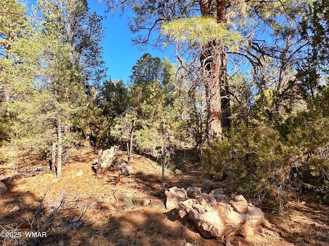 3377 Mogollon Dr, Overgaard, AZ 85933 - photo 1