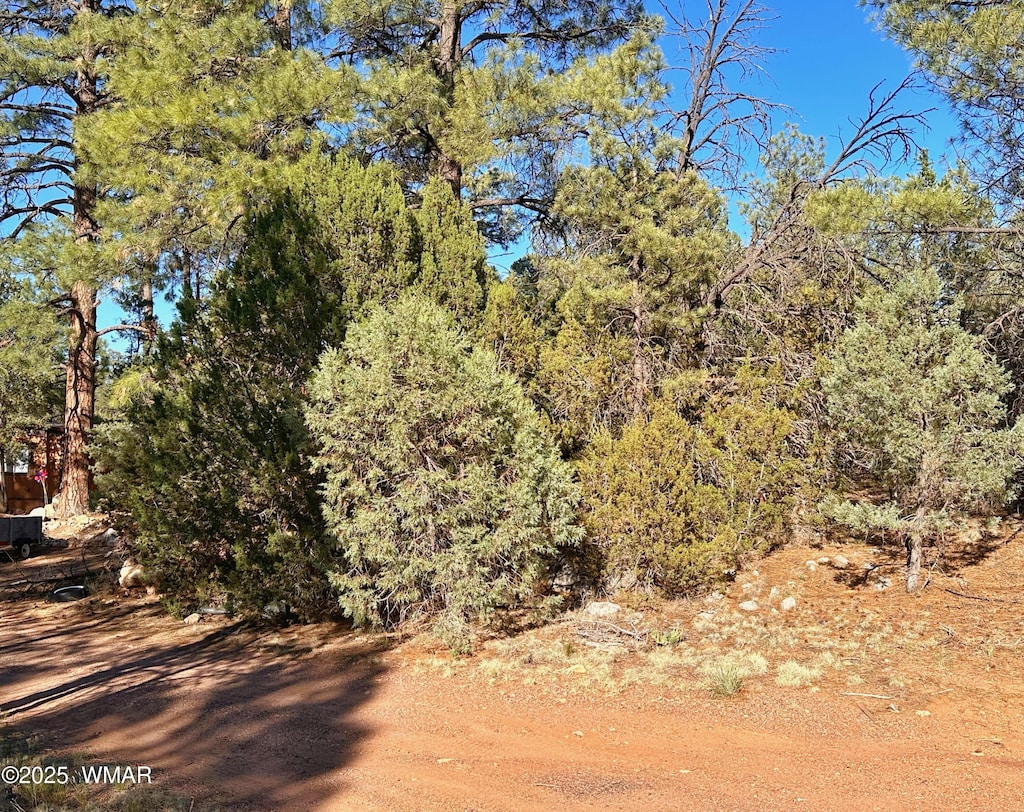 3377 Mogollon Dr, Overgaard, AZ 85933 - photo 3