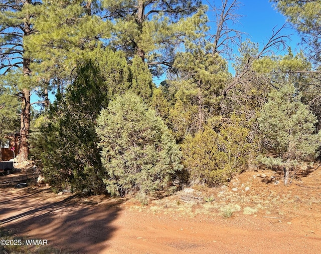 3377 Mogollon Dr, Overgaard, AZ 85933 - photo 3