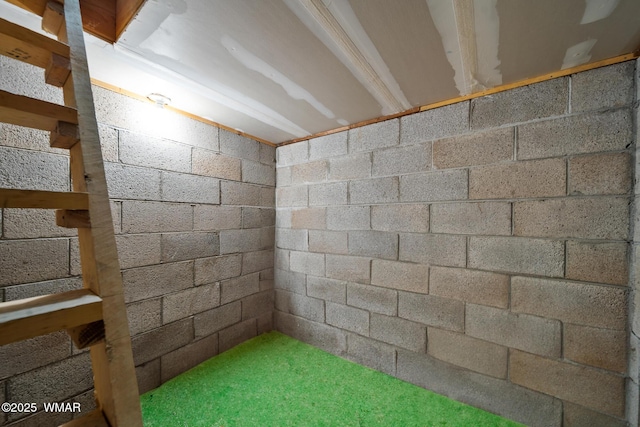 below grade area featuring concrete block wall