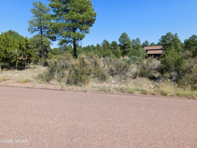 Listing photo 2 for 2789 Skyhawk Dr, Overgaard AZ 85933