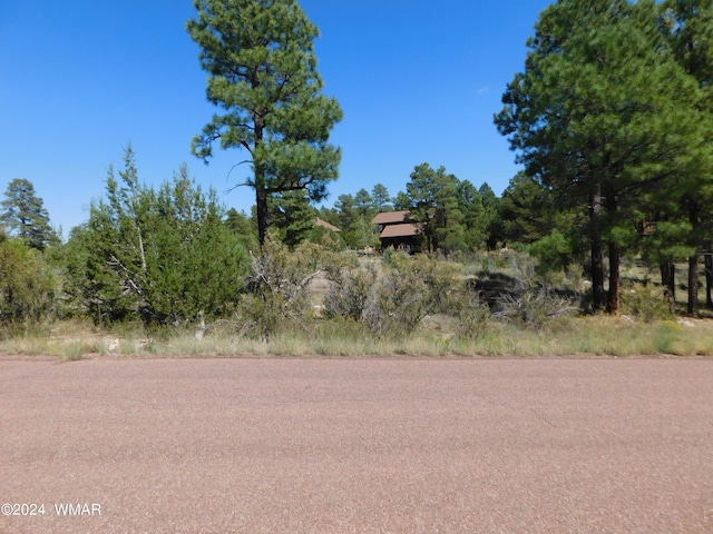 Listing photo 3 for 2789 Skyhawk Dr, Overgaard AZ 85933