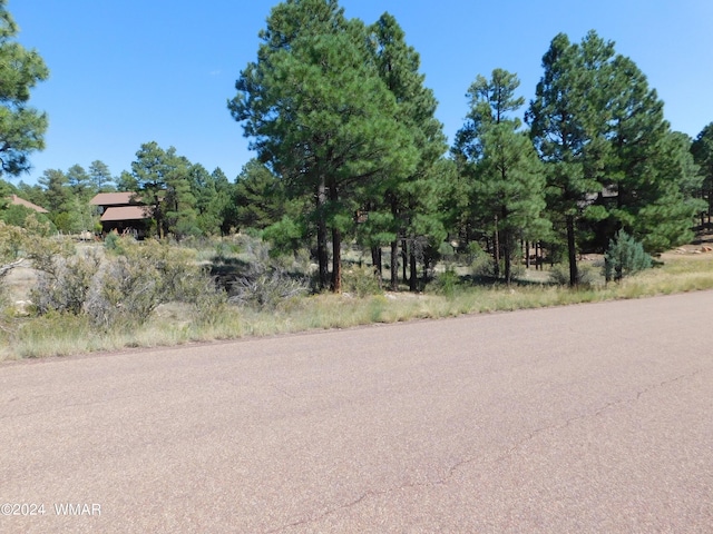 2789 Skyhawk Dr, Overgaard AZ, 85933 land for sale