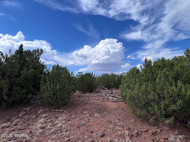 000 Antelope Rd, Show Low, AZ 85901 - photo 1