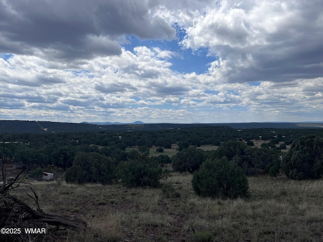 000 Antelope Rd, Show Low, AZ 85901 - photo 6