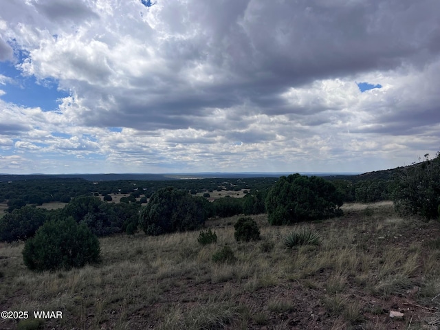 000 Antelope Rd, Show Low, AZ 85901 - photo 4