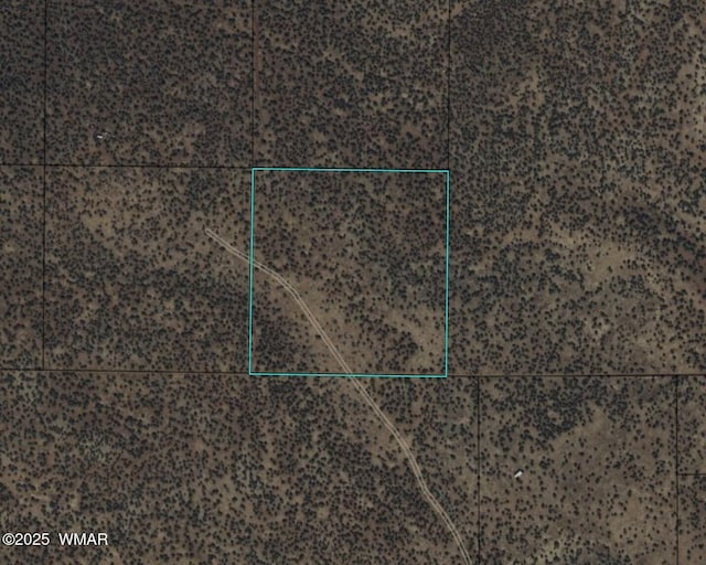 000 Antelope Rd, Show Low, AZ 85901 - photo 2