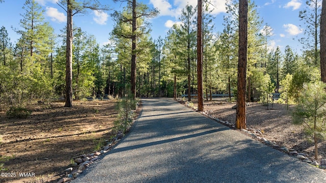 2041 S Bristlecone Dr, Show Low, AZ 85901 - photo 66