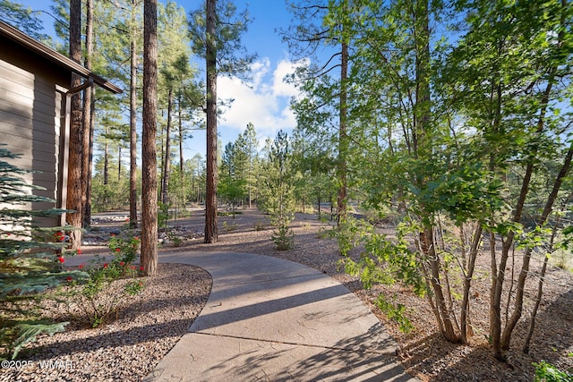 2041 S Bristlecone Dr, Show Low, AZ 85901 - photo 52