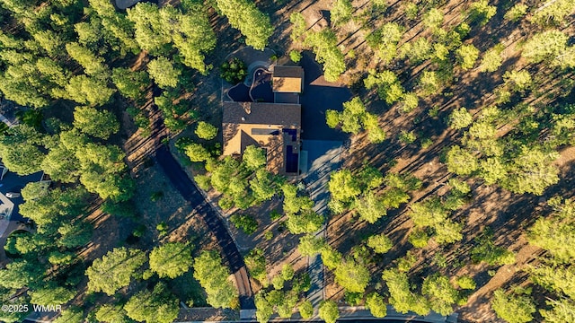 2041 S Bristlecone Dr, Show Low, AZ 85901 - photo 61