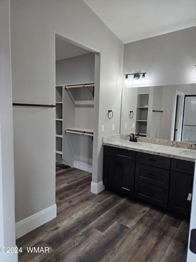 bathroom with a sink, double vanity, a walk in closet, and wood finished floors