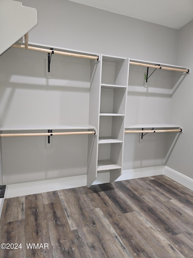 spacious closet featuring wood finished floors