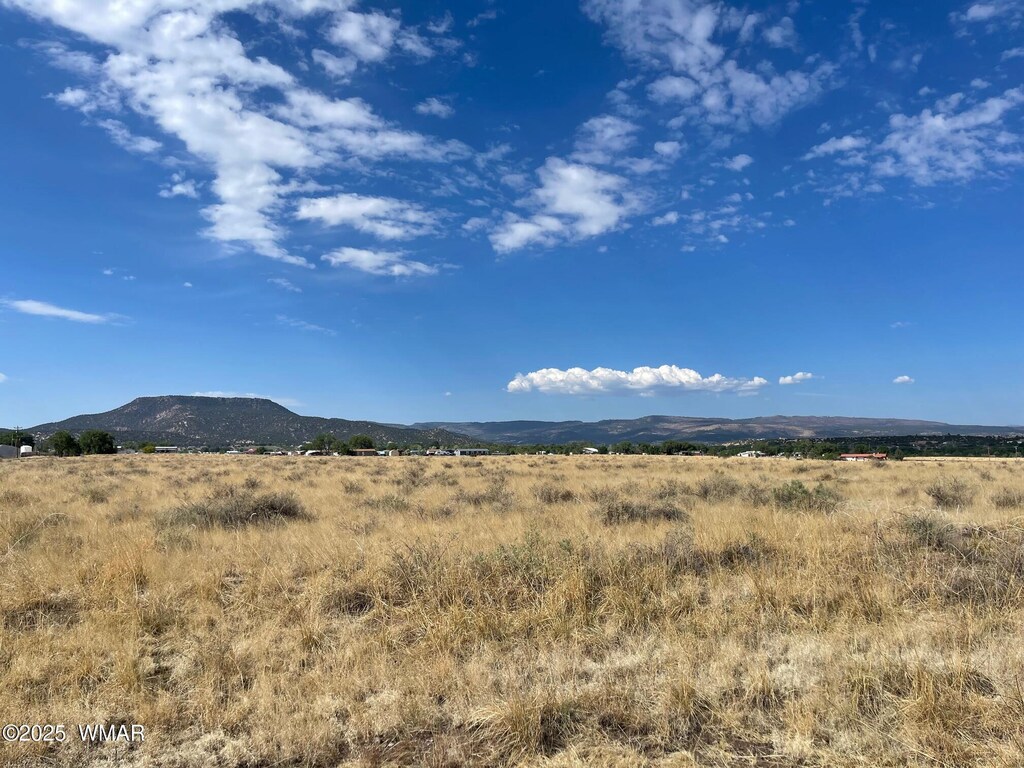 TBD Tumbling T Dr, Springerville, AZ 85938