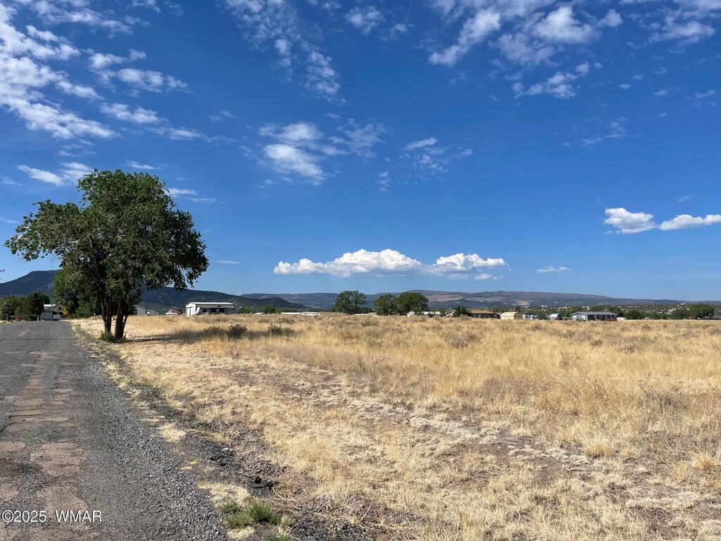 TBD Tumbling T Dr, Springerville, AZ 85938