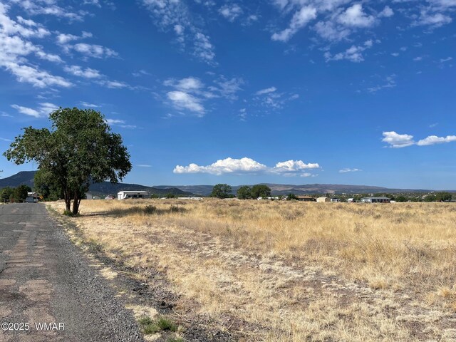 TBD Tumbling T Dr, Springerville, AZ 85938