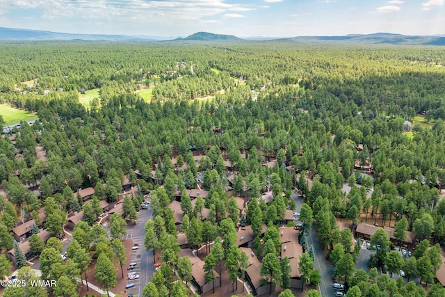 birds eye view of property featuring a wooded view and a mountain view