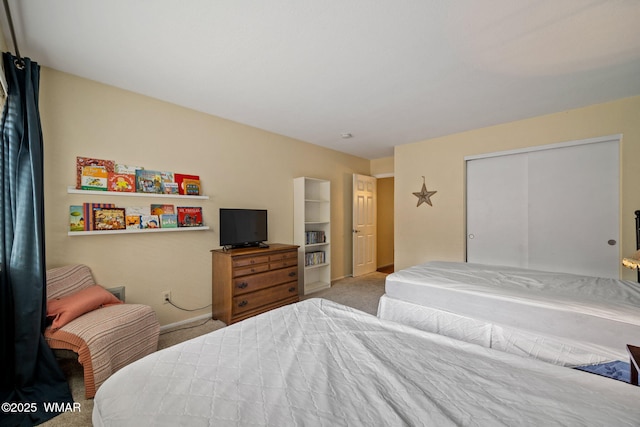 bedroom featuring carpet floors, baseboards, and a closet