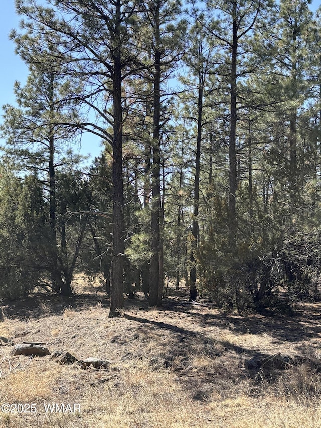 view of local wilderness featuring a view of trees