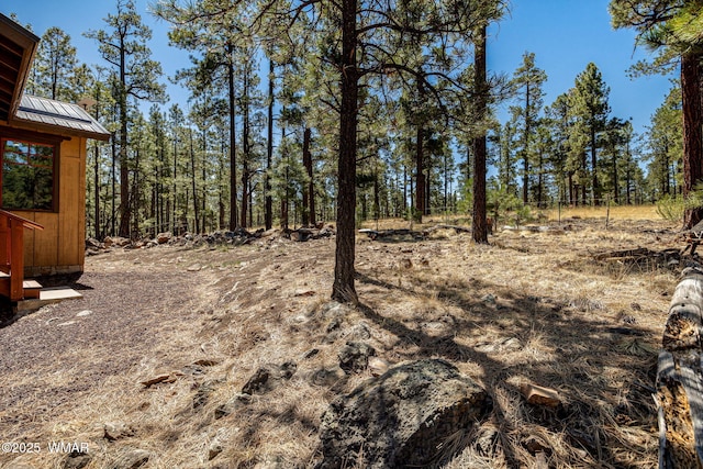 3 County Road 1058, Greer, AZ 85927 - view of yard