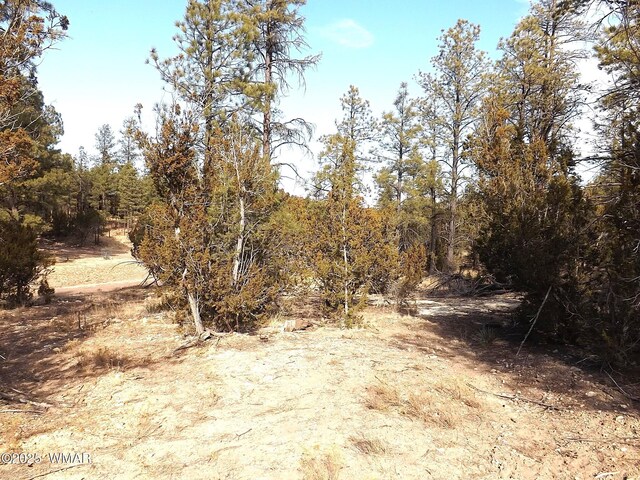 3341 Sawmill Ridge Loop, Heber, AZ 85928 - photo 6