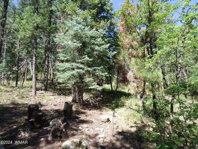9 County Road 2073, Alpine, AZ 85920 - photo 17