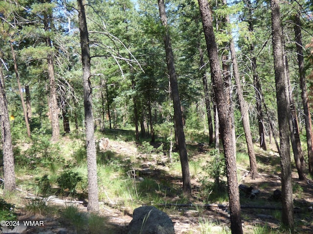 9 County Road 2073, Alpine, AZ 85920 - photo 25