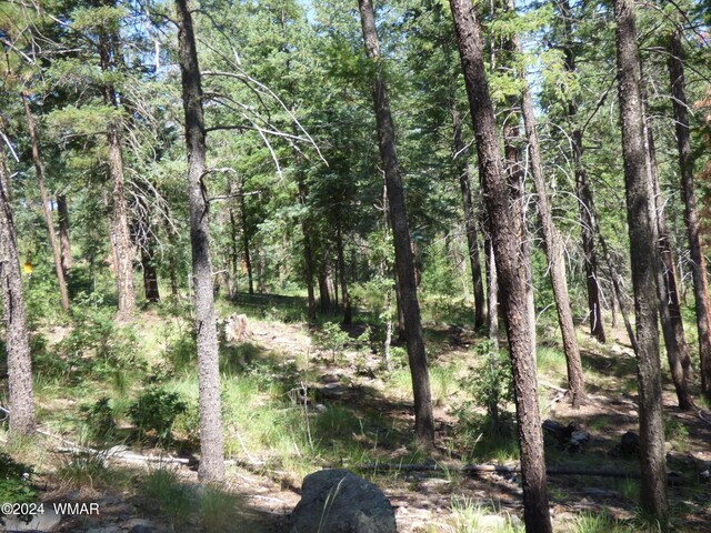 9 County Road 2073, Alpine, AZ 85920 - photo 26