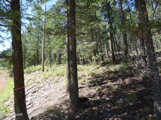 9 County Road 2073, Alpine, AZ 85920 - photo 11