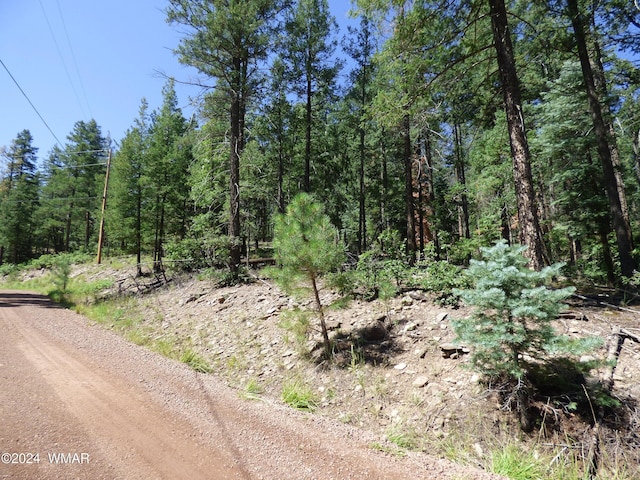 9 County Road 2073, Alpine, AZ 85920 - photo 1
