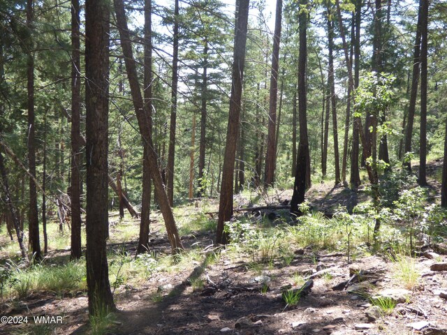 9 County Road 2073, Alpine, AZ 85920 - photo 24
