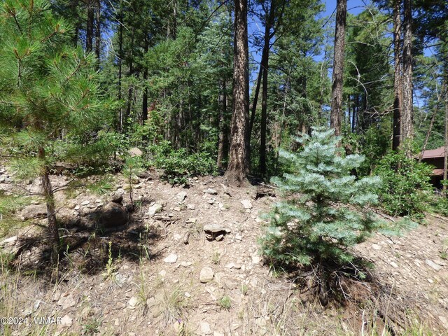 9 County Road 2073, Alpine, AZ 85920 - photo 27
