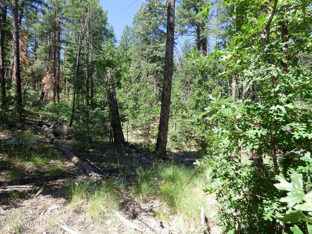 9 County Road 2073, Alpine, AZ 85920 - photo 8