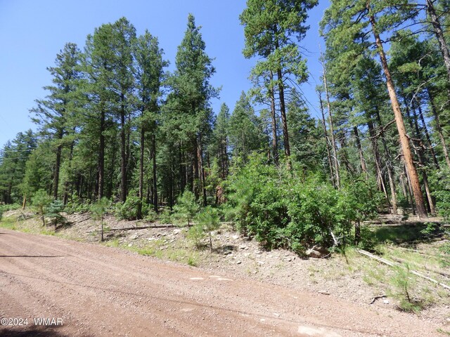 9 County Road 2073, Alpine, AZ 85920 - photo 5