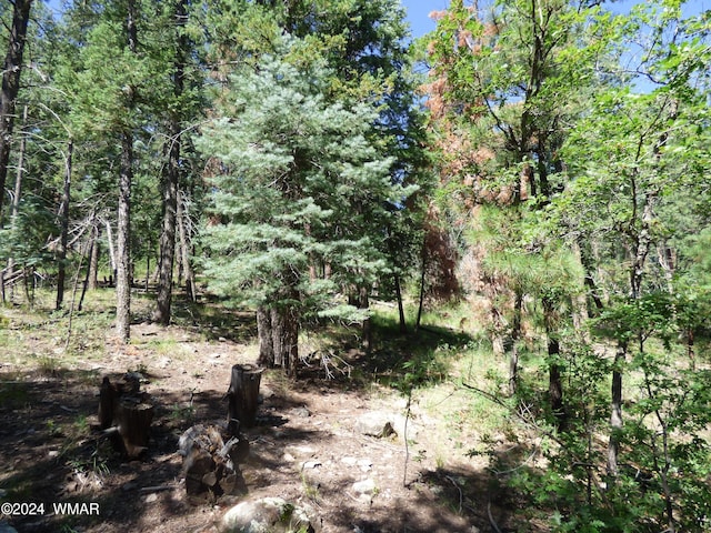 9 County Road 2073, Alpine, AZ 85920 - photo 16