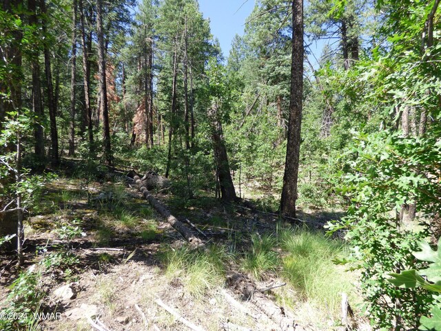 9 County Road 2073, Alpine, AZ 85920 - photo 30