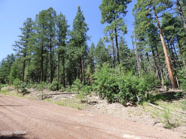 9 County Road 2073, Alpine, AZ 85920 - photo 6