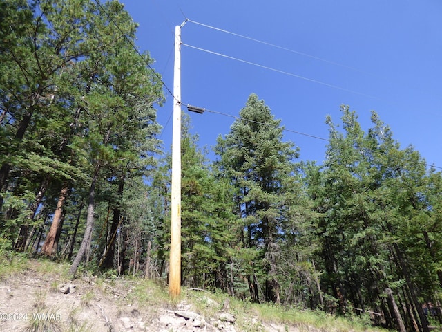9 County Road 2073, Alpine, AZ 85920 - photo 33
