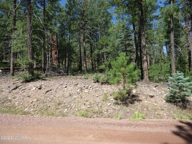 9 County Road 2073, Alpine, AZ 85920 - photo 7