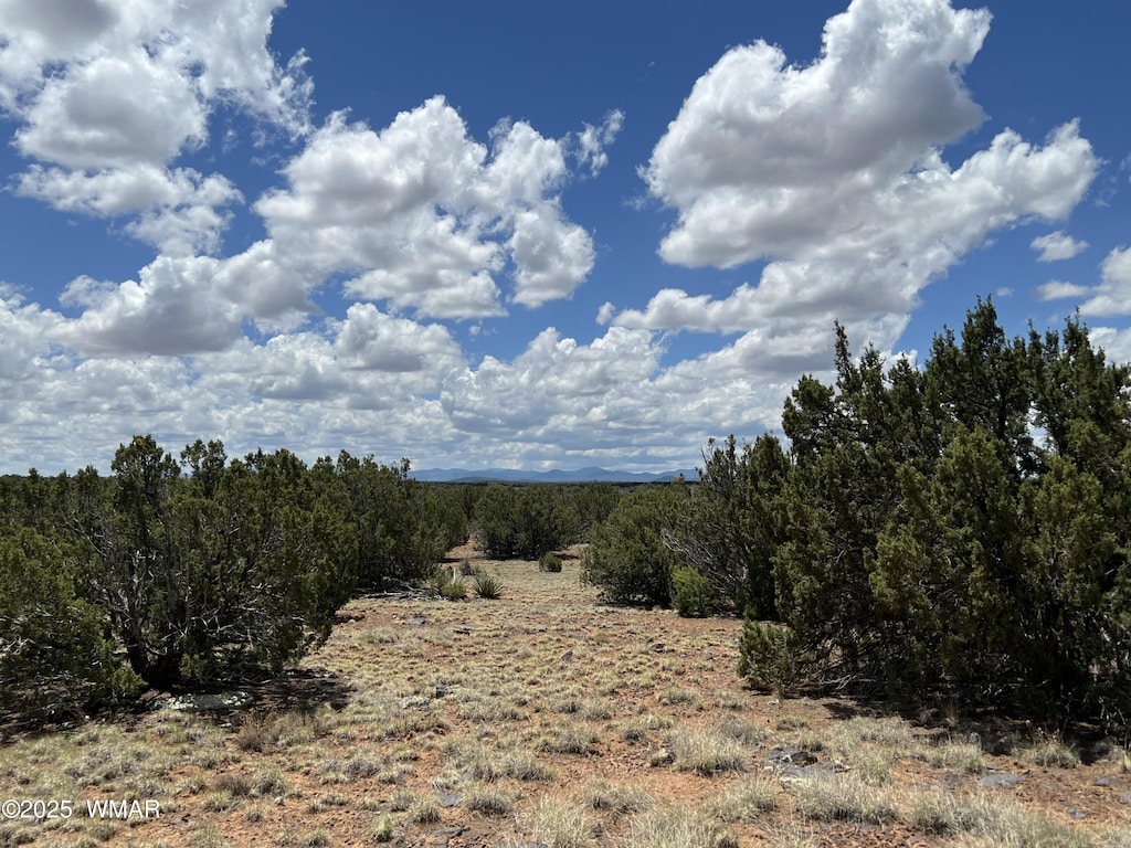 TBD County Road 8309, Concho, AZ 85924 - photo 3