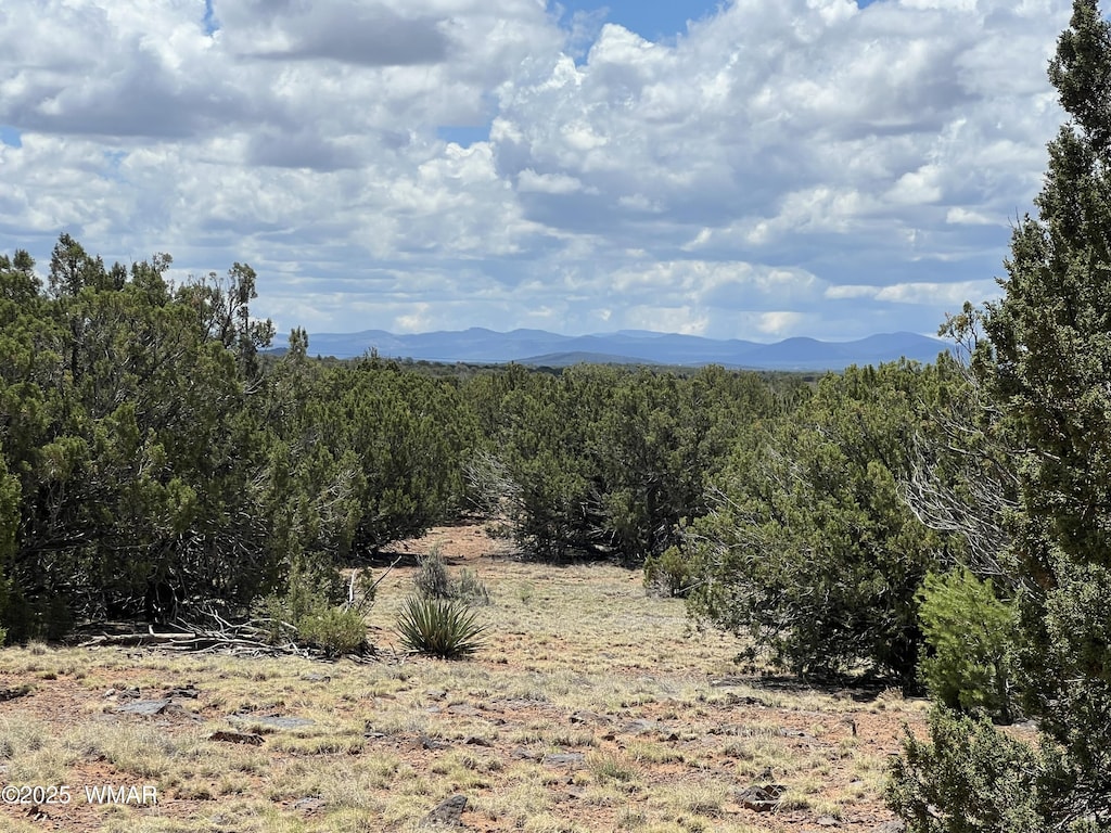 TBD County Road 8309, Concho, AZ 85924 - photo 1