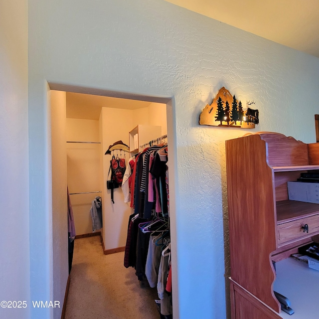 822 E 1st Ln, Eagar, AZ 85925 - spacious closet featuring carpet