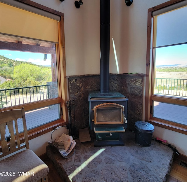 822 E 1st Ln, Eagar, AZ 85925 - detailed view of a wood stove