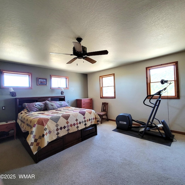 822 E 1st Ln, Eagar, AZ 85925 - carpeted bedroom with multiple windows, ceiling fan, and baseboards